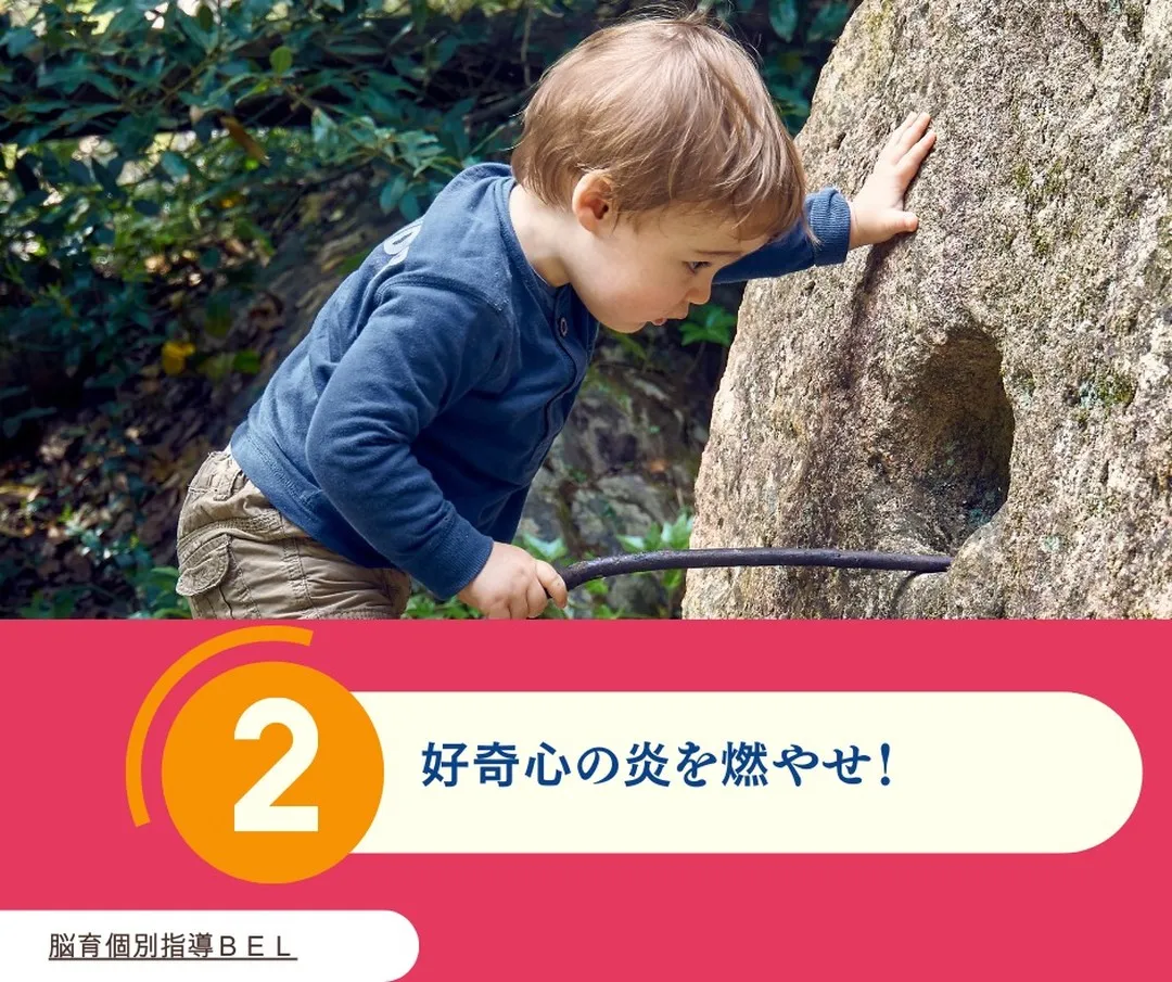 〔子どもの才能を伸ばす！親が脳を育てる５つの魔法〕