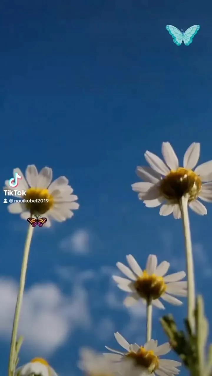 脳育個別指導BELでは、お子様だけではなく